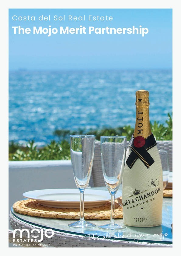 Mojo Merit Partnership brochure